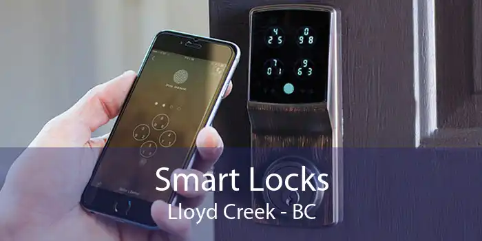 Smart Locks Lloyd Creek - BC