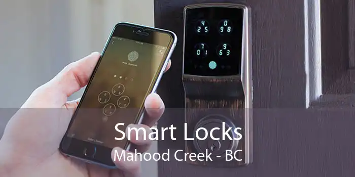 Smart Locks Mahood Creek - BC