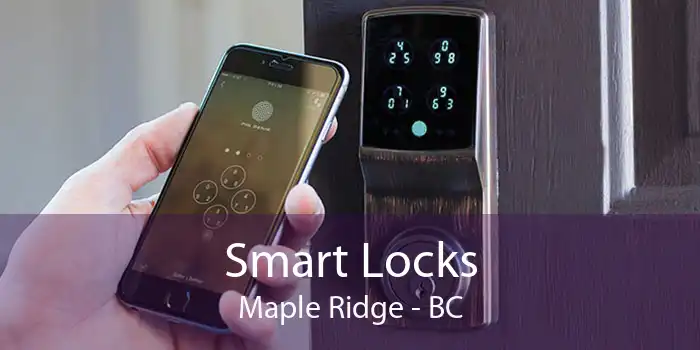 Smart Locks Maple Ridge - BC
