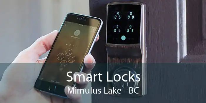 Smart Locks Mimulus Lake - BC