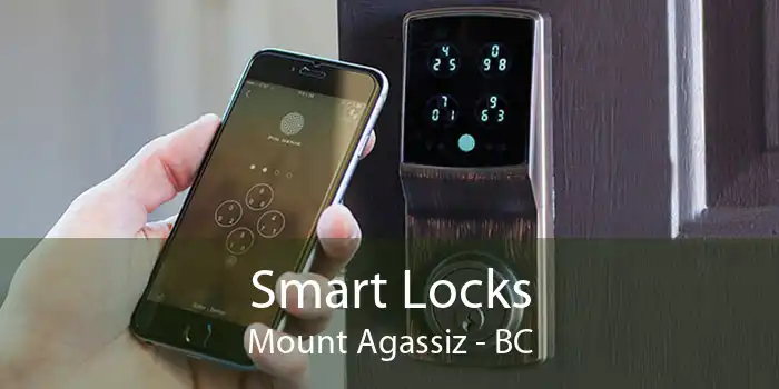 Smart Locks Mount Agassiz - BC