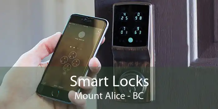 Smart Locks Mount Alice - BC