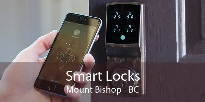 Smart Locks Mount Bishop - BC