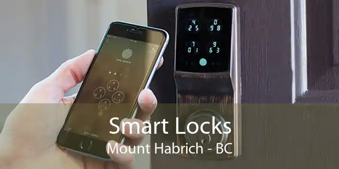 Smart Locks Mount Habrich - BC