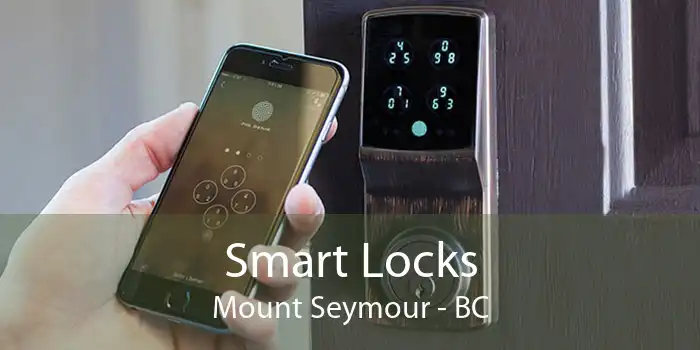 Smart Locks Mount Seymour - BC