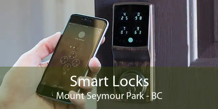 Smart Locks Mount Seymour Park - BC
