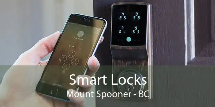 Smart Locks Mount Spooner - BC