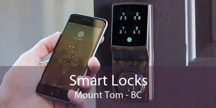 Smart Locks Mount Tom - BC