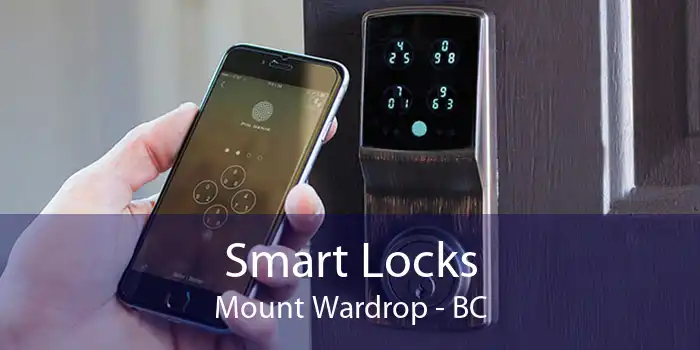 Smart Locks Mount Wardrop - BC