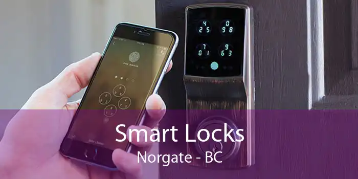 Smart Locks Norgate - BC