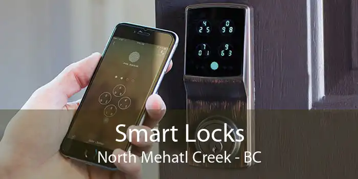 Smart Locks North Mehatl Creek - BC