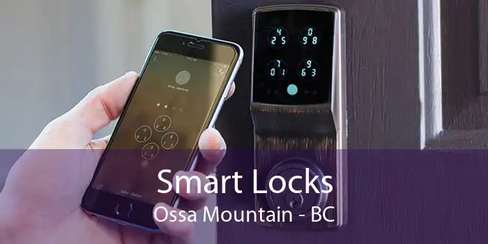 Smart Locks Ossa Mountain - BC