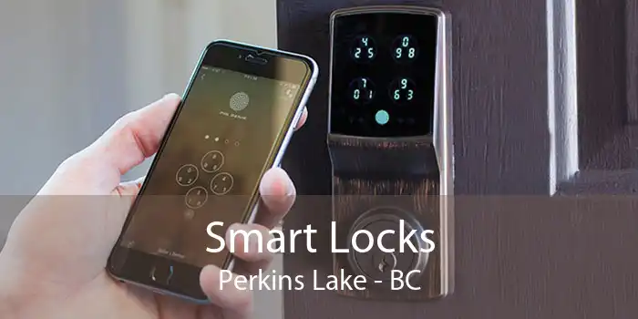 Smart Locks Perkins Lake - BC