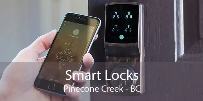 Smart Locks Pinecone Creek - BC