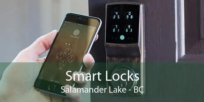 Smart Locks Salamander Lake - BC