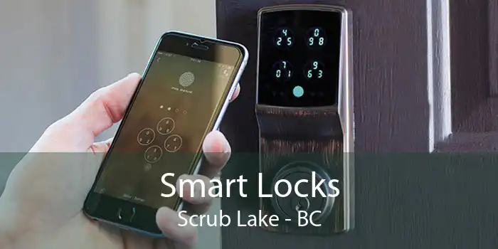 Smart Locks Scrub Lake - BC