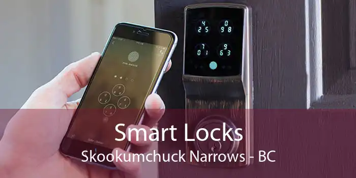 Smart Locks Skookumchuck Narrows - BC