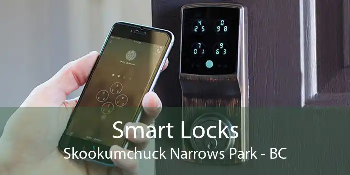 Smart Locks Skookumchuck Narrows Park - BC