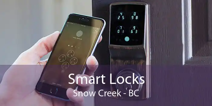 Smart Locks Snow Creek - BC