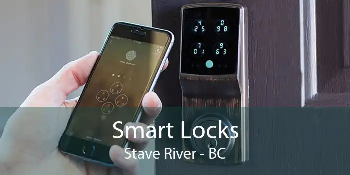 Smart Locks Stave River - BC