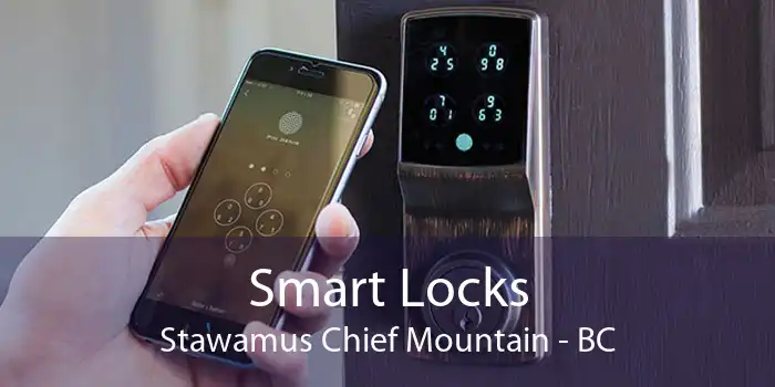 Smart Locks Stawamus Chief Mountain - BC