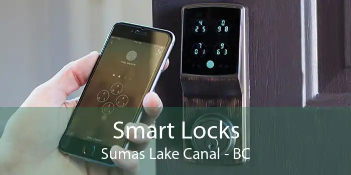 Smart Locks Sumas Lake Canal - BC