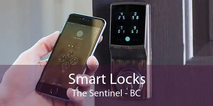 Smart Locks The Sentinel - BC