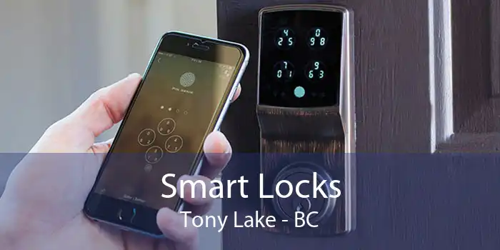 Smart Locks Tony Lake - BC