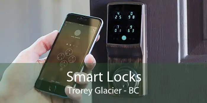 Smart Locks Trorey Glacier - BC