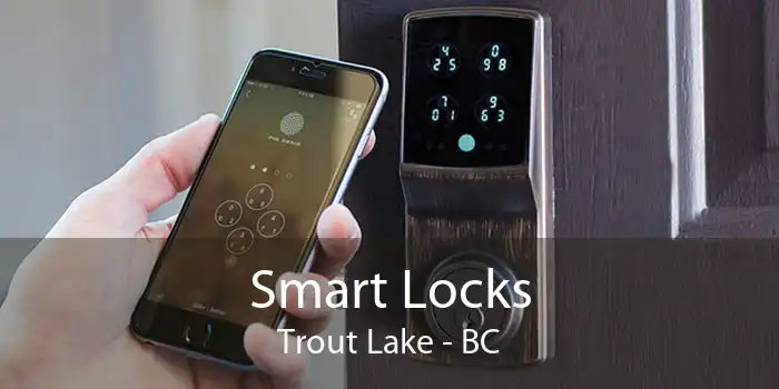Smart Locks Trout Lake - BC