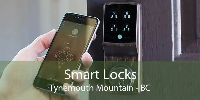 Smart Locks Tynemouth Mountain - BC