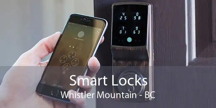 Smart Locks Whistler Mountain - BC