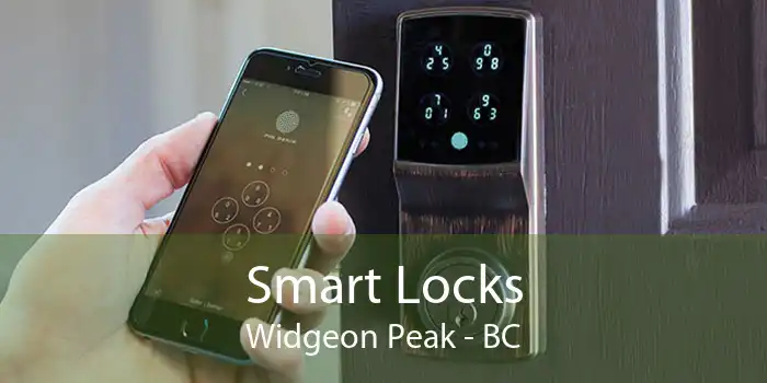 Smart Locks Widgeon Peak - BC