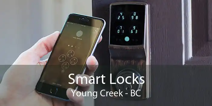 Smart Locks Young Creek - BC