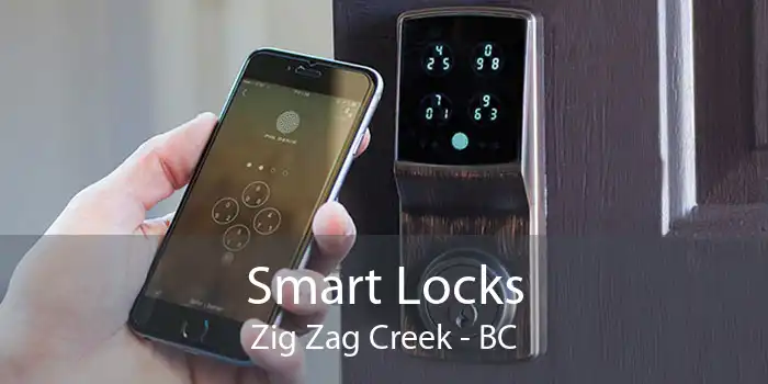 Smart Locks Zig Zag Creek - BC